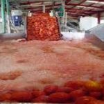Molienda del tomate.