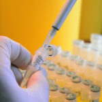 Emplean técnicas nucleares en la obtención de nuevas variedades de cultivos (+ Audio)