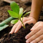 Ratifican compromisos de diversificar producciones en Batabanó.