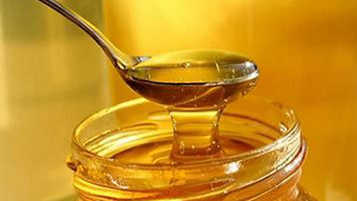 Destacada producción de miel de abeja en Mayabeque.