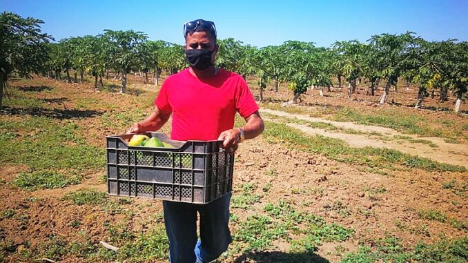 A favor de la producción de alimentos.