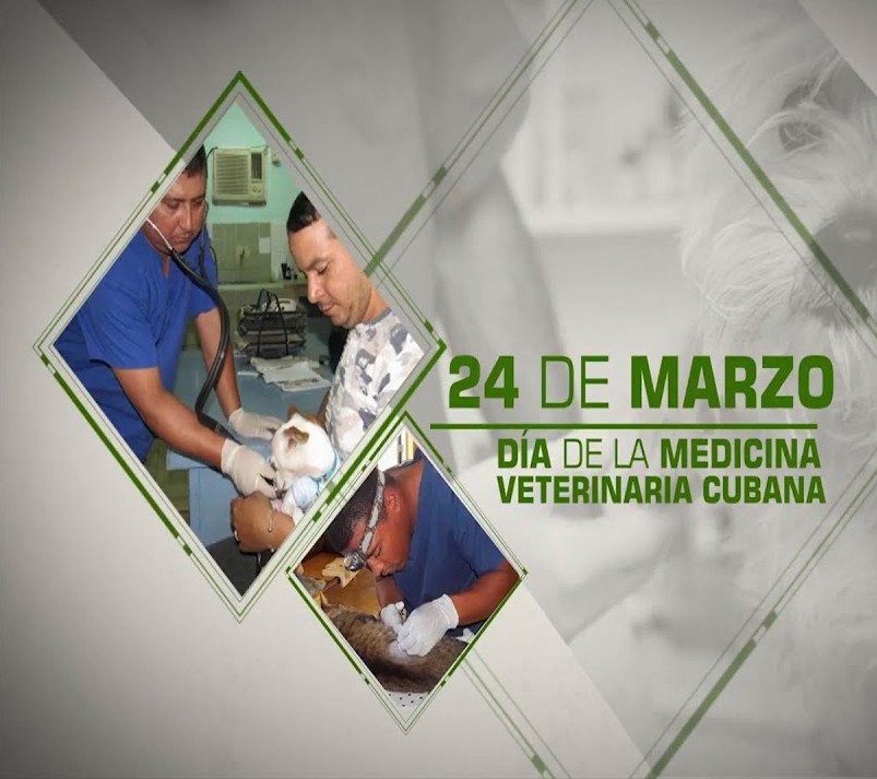 Convocan en Jaruco a jornada por el Día de la Medicina Veterinaria en Cuba.