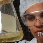 Contribuyen Brigadas Técnicas Juveniles con desarrollo científico y económico de Mayabeque (+ Audio)