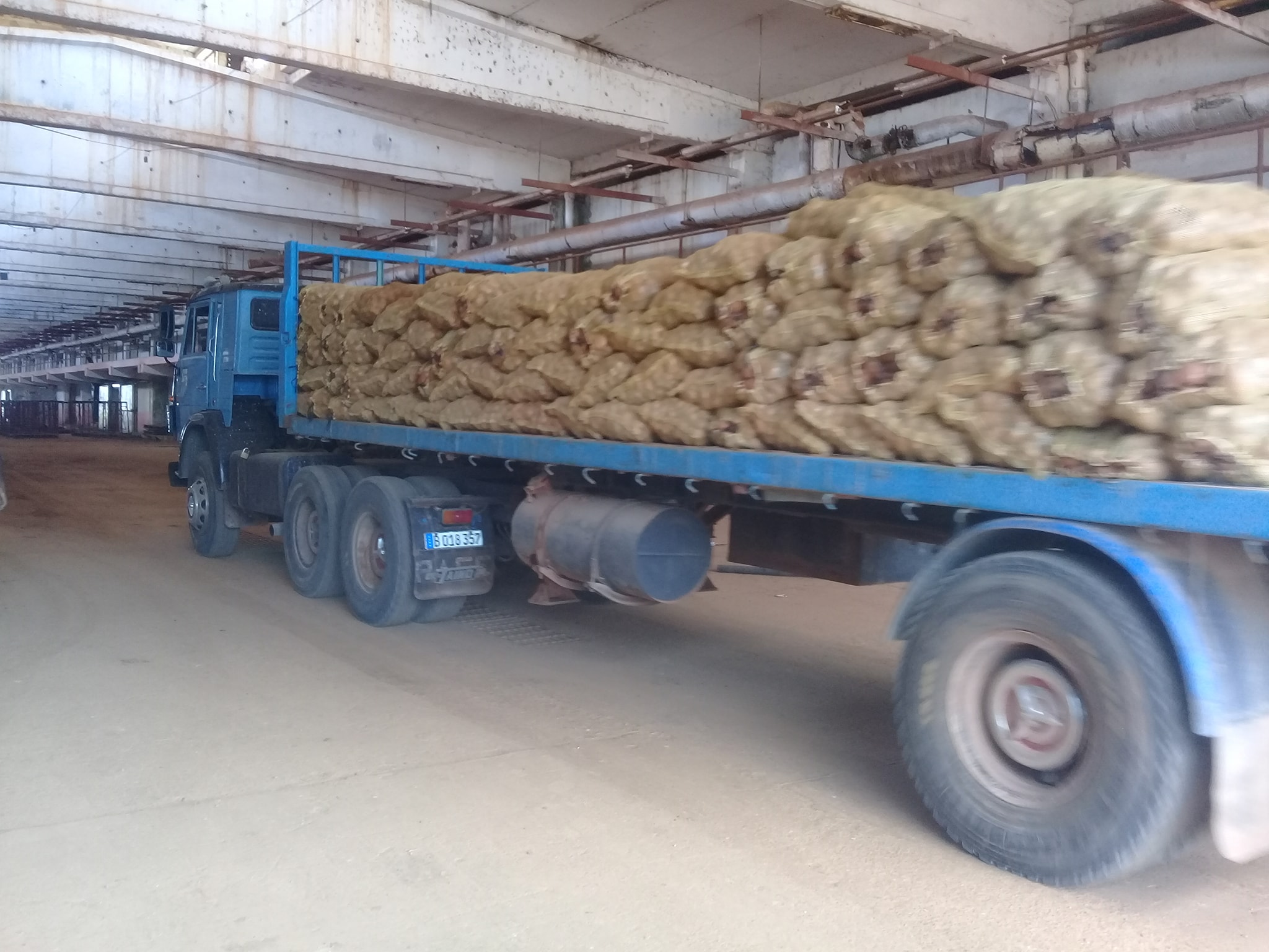 Mayabeque cold storage plant ready to conservate potatoes in the current cold season.