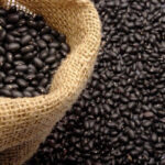 Grain harvest for the current cold season advances in Madruga