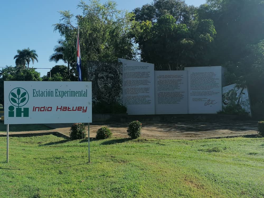 Destacan colaboración entre centro científico de Mayabeque y Matanzas para el desarrollo agrario.