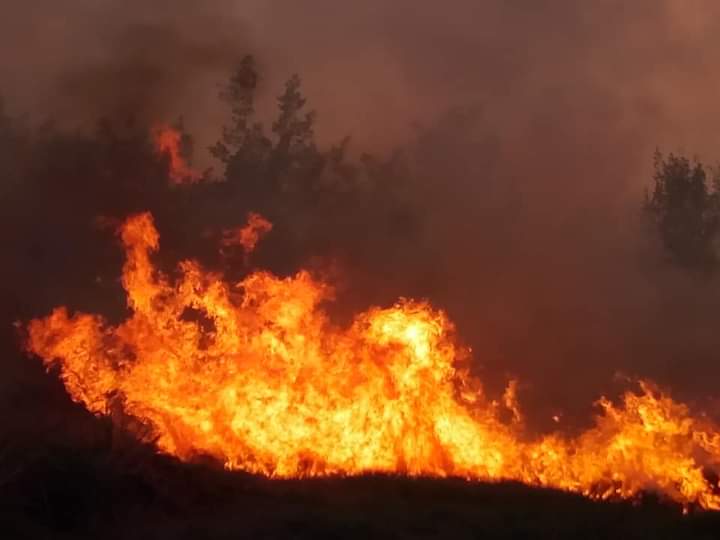 Fuerte incendio en el litoral sur de Batabanó.