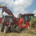 Zafra azucarera avanza en Madruga (+ Audio)