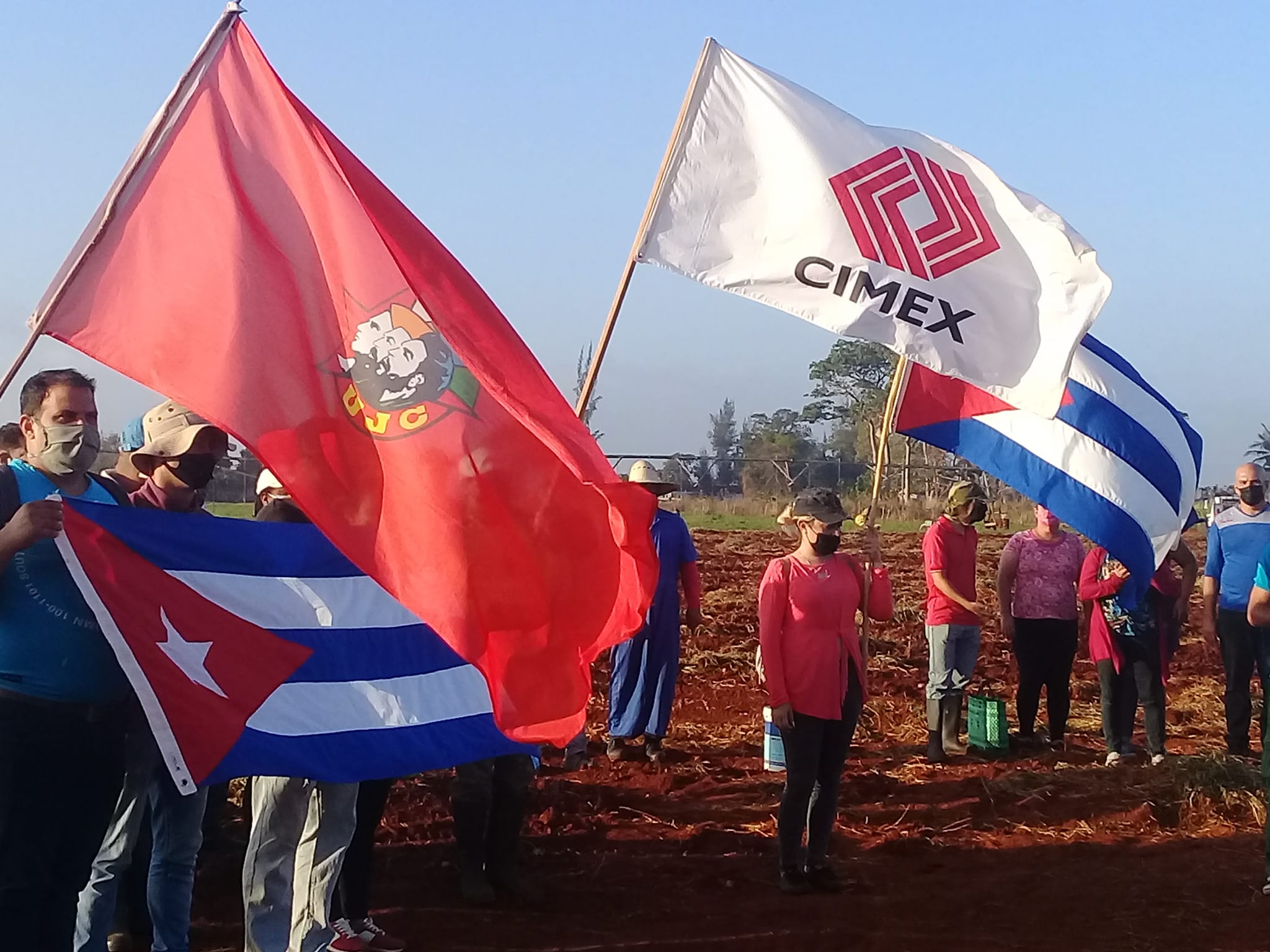 Alrededor de 200 quintales de papas acopiaron los trabajadores del sistema de tiendas de Mayabeque. Foto: Cortesía de la autora.
