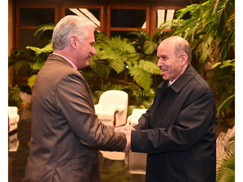 Cuba y Argelia en buen momento de sus vínculos bilaterales.