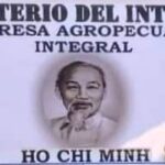 Mantiene colectivo de empresa Ho Chi Minh vínculo comunitario. Foto: Radio Jaruco