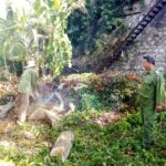 Ejercicio Meteoro en Jaruco