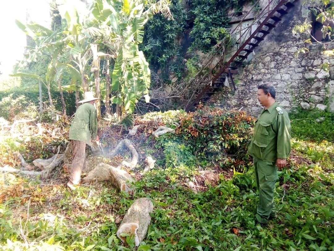 Ejercicio Meteoro en Jaruco