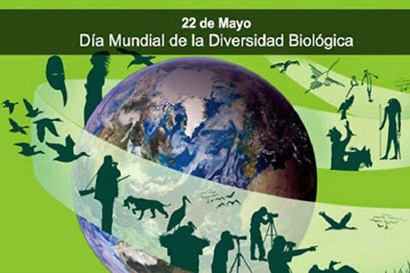 Resaltan importancia de la biodiversidad para un mundo sostenible.