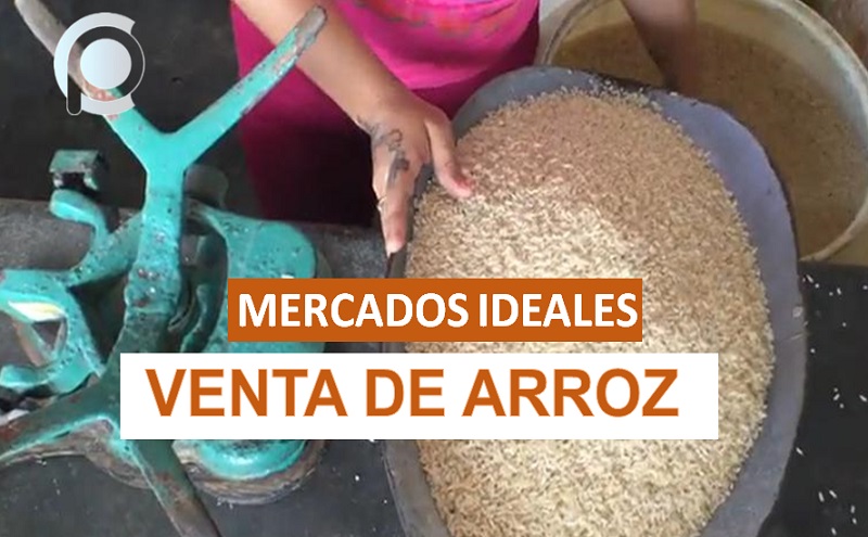 Precisiones sobre la venta de arroz criollo