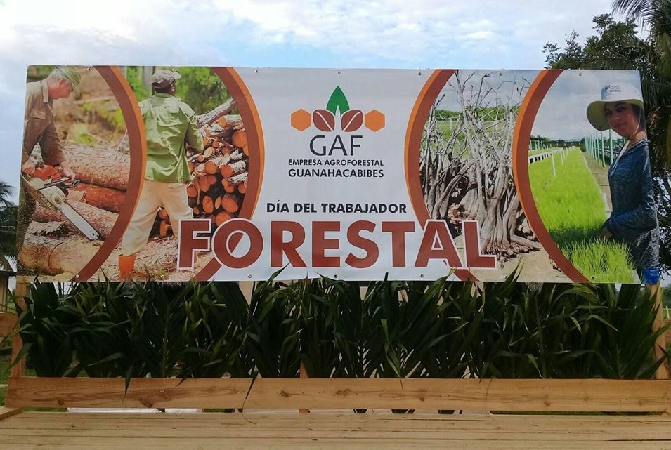 Celebrarán en Pinar del Río acto por el Día del Trabajador Forestal.