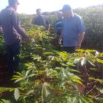 Miembro del Comité Central del Partido y vice primer ministro Jorge Luis Tapia Fonseca chequeó diferentes proyectos agropecuarios en Mayabeque