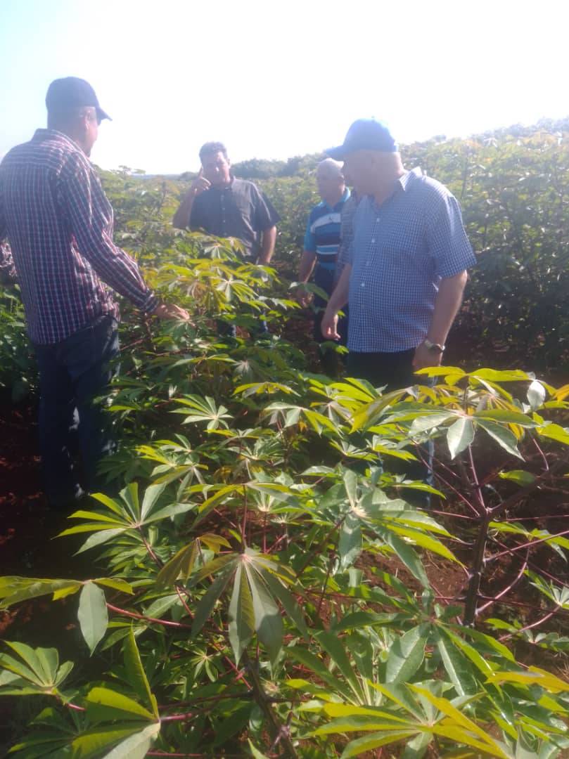 Miembro del Comité Central del Partido y vice primer ministro Jorge Luis Tapia Fonseca chequeó diferentes proyectos agropecuarios en Mayabeque