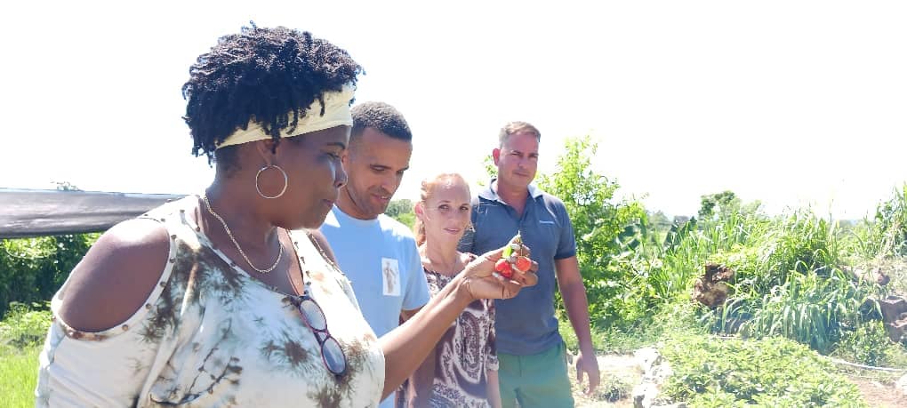 Miembro del Secretariado Nacional de la FMC visitó fincas de Mayabeque.