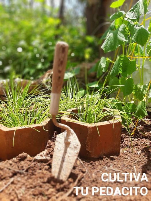 El reto radica en potenciar la agricultura urbana, suburbana y familiar.