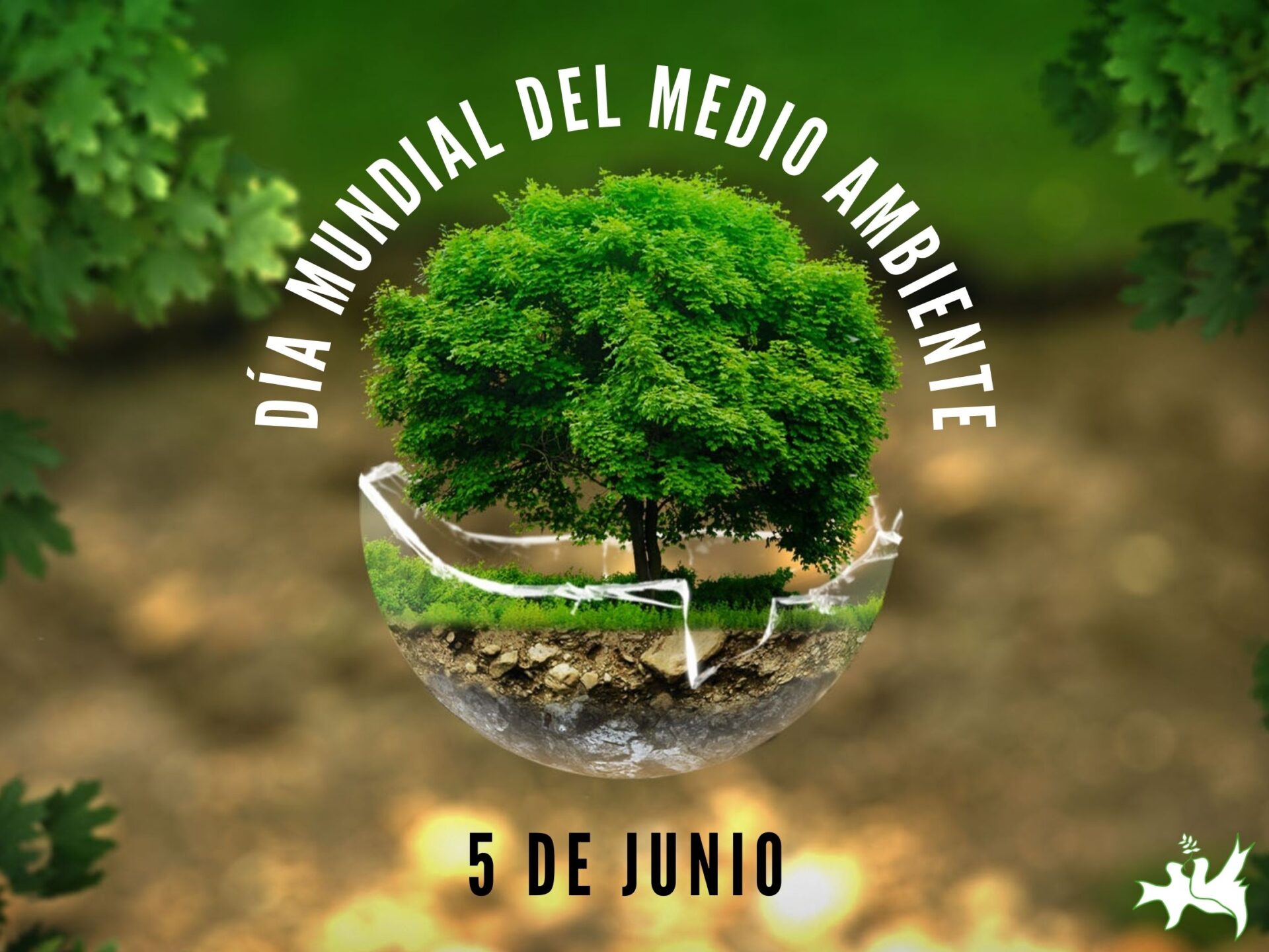Celebran en Jaruco Jornada por el Día Mundial del Medio Ambiente.