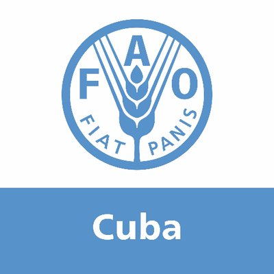 Organización de las Naciones Unidas para la Alimentación y la Agricultura contribuye a producción alimentaria de Cuba.