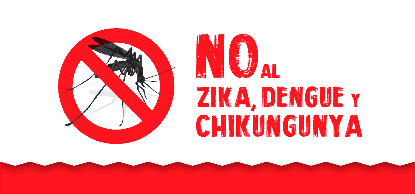 Erradicar la amenaza del peligroso Aedes Aegypti.