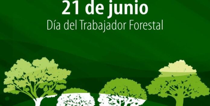 Trabajadores forestales comprometidos con el aporte económico del país.