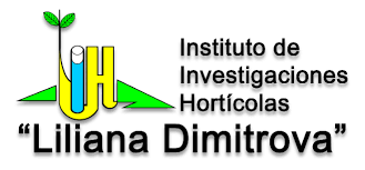 Instituto de Investigaciones Hortícolas Liliana Dimitrova contribuye con el programa alimentario de Cuba.