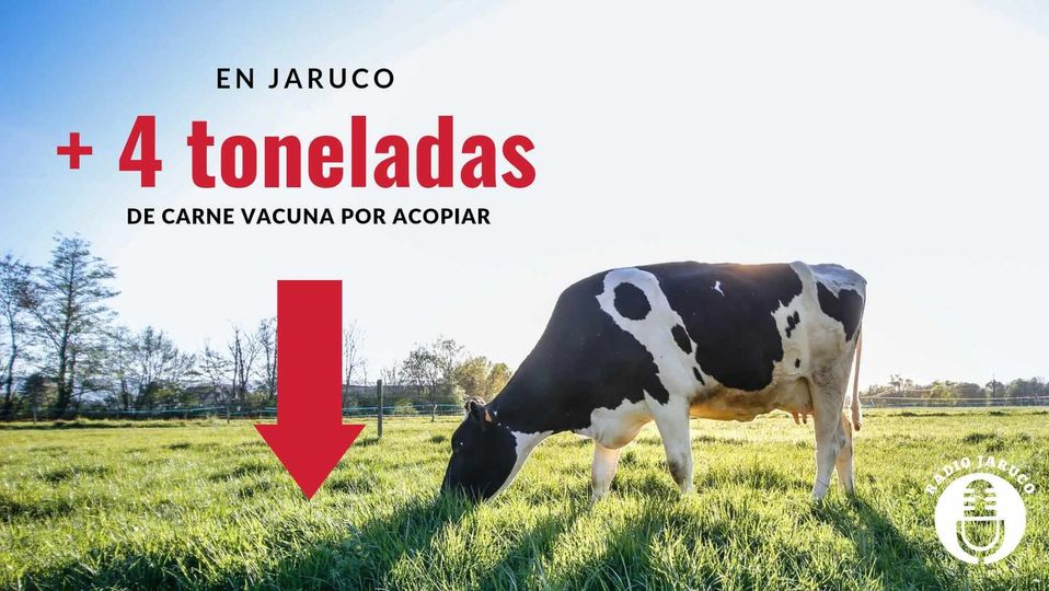 Presenta Jaruco atraso en entrega de carne vacuna.