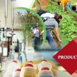 Aumenta alcance del proyecto de sustitución de importaciones