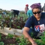 Celebran en Mayabeque aniversario 63 de la Federación de Mujeres Cubanas