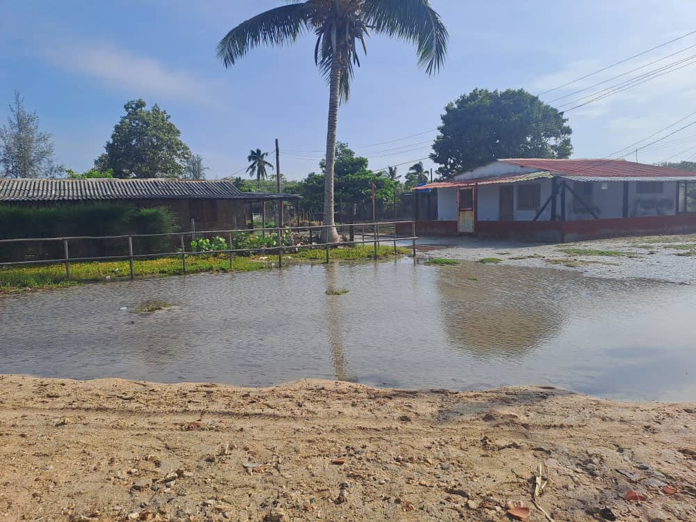 Daños ocasionados por huracán Idalia en Playa Caimito. Foto: Cortesía de la autora