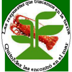 El Quitomax entre los productos más solicitados de la Empresa Complejo Mayabeque