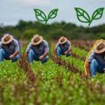 Evalúan autoridades de Mayabeque cumplimiento del autoabastecimiento local agrícola en Güines.