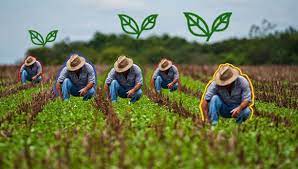 Evalúan autoridades de Mayabeque cumplimiento del autoabastecimiento local agrícola en Güines.