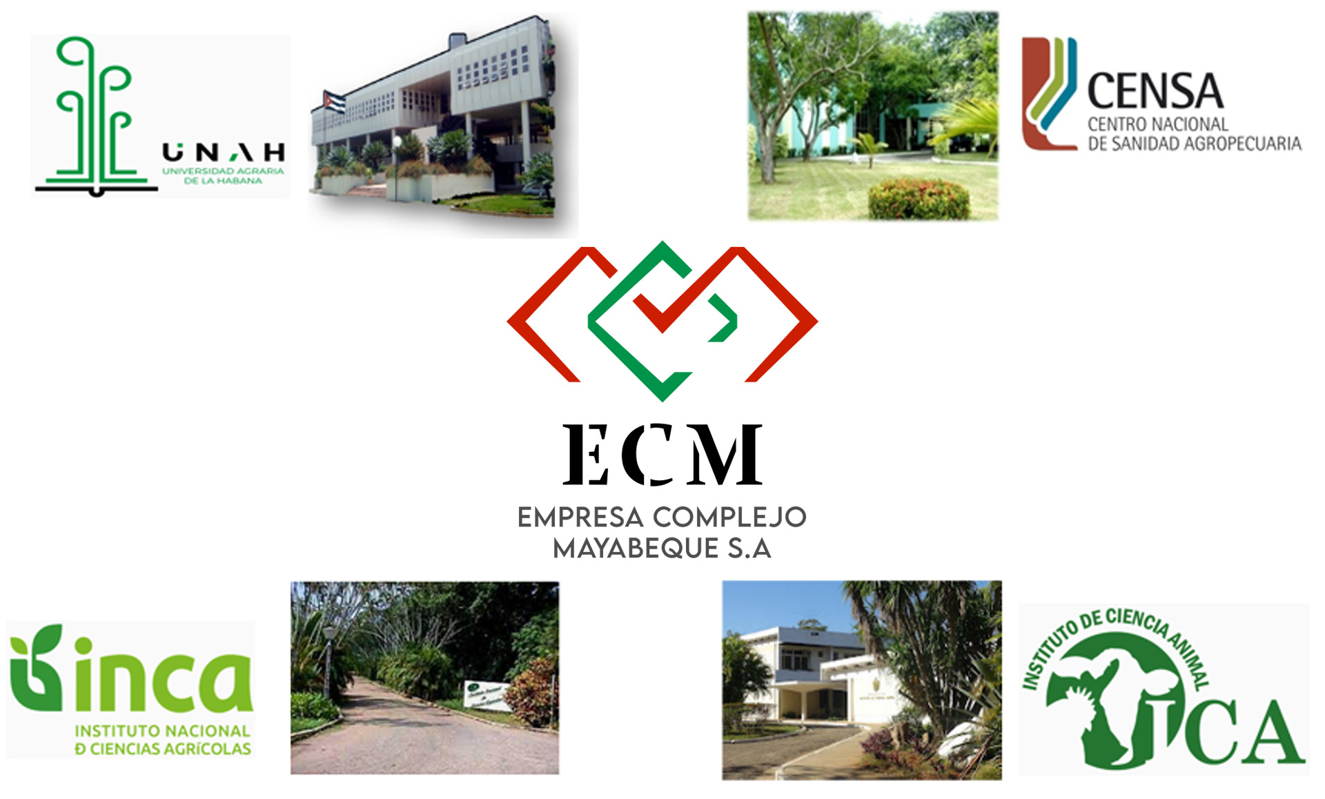 Empresa Complejo Mayabeque contribuye al desarrollo productivo, científico y económico nacional.