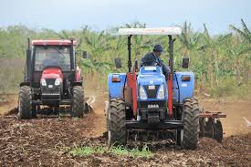 Preparan tierras productores lajeros para la venidera campaña de frío