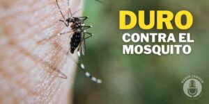 Aumenta índice de infestación por dengue en Caraballo y Jaruco