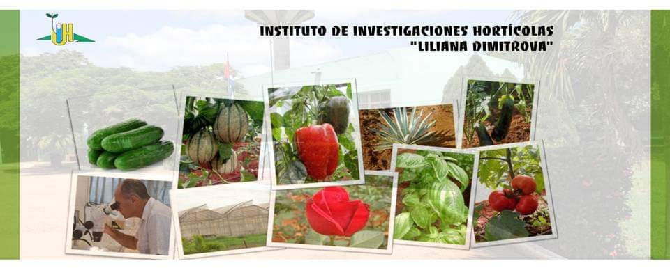 Participarán investigadores de Mayabeque en primera exposición de horticultura en países desérticos.