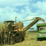 Alistan unidades cañeras de Mayabeque para la próxima zafra (+Audio)