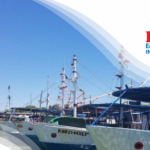 Refuerzan en Bataban&oacute; jornadas para cumplir con entrega de toneladas de esponja (+ Audio)