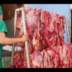 Avanza programa de reanimación en Empresa Cárnica de Mayabeque