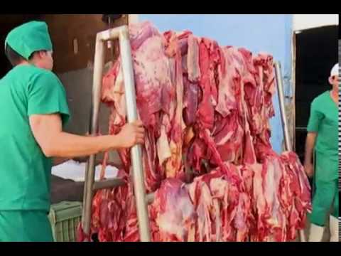 Avanza programa de reanimación en Empresa Cárnica de Mayabeque