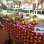 Sesionó Decimotercera edición del evento Agroecología y Ciencia y Técnica  en Mayabeque