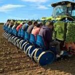 Recibirán tabacaleros de Mayabeque capacitación para aplicar novedosa técnica en el sector.