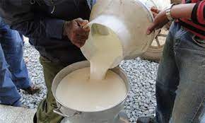 Mantienen producción estable de leche cooperativas de San Nicolás. Foto: Archivo