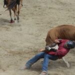Mayabeque en competencia nacional de rodeo