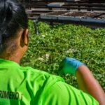 Alistan primera Mipyme estatal de Mayabeque.