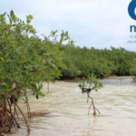 Fortalece resiliencia costera  Proyecto Mi Costa